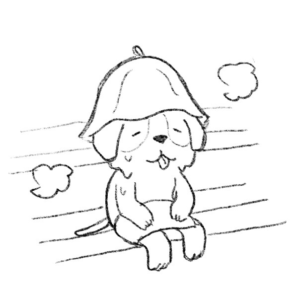 サウナ犬